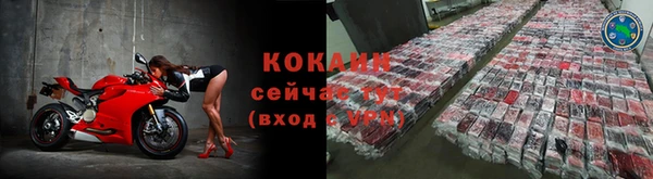 тгк Лагань
