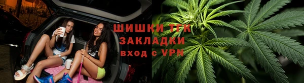 тгк Лагань