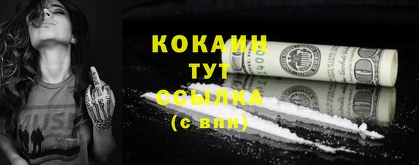 хмурый Ладушкин