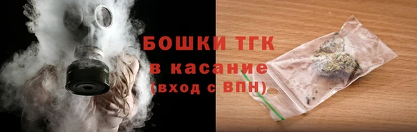 хмурый Ладушкин