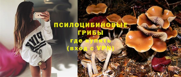 MESCALINE Лабытнанги