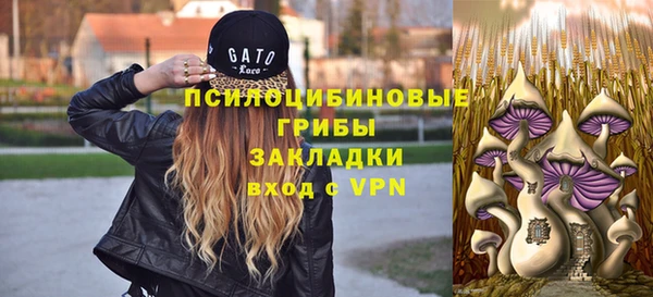 MESCALINE Лабытнанги