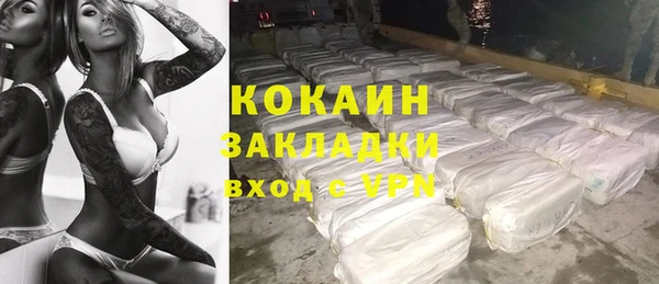 хмурый Ладушкин