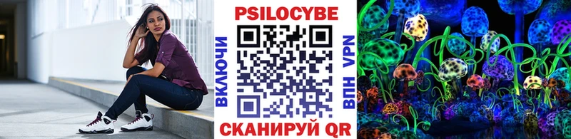 Псилоцибиновые грибы прущие грибы  Моршанск 