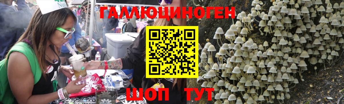 Псилоцибиновые грибы мицелий  Моршанск  Галлюциногенные грибы Psilocybine cubensis 