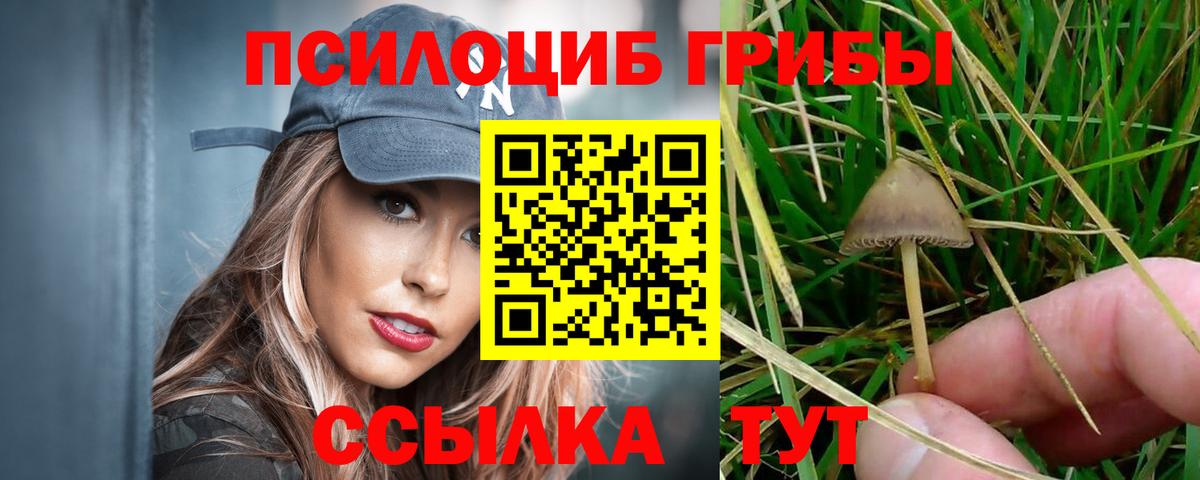 купить наркотик  Вход с VPN  Моршанск  Псилоцибиновые грибы MAGIC MUSHROOMS  Псилоцибиновые грибы Psilocybe 